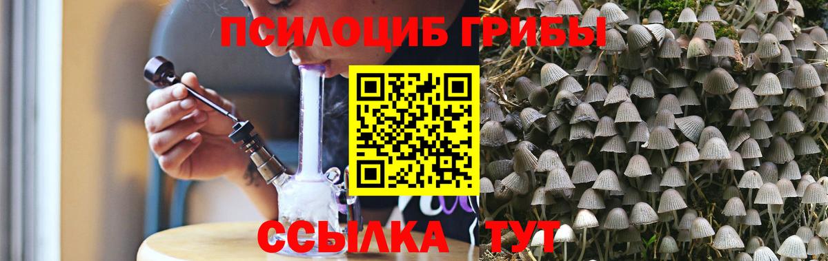 магазин    Вход с VPN  Псилоцибиновые грибы мухоморы  Великие Луки  Галлюциногенные грибы Cubensis 